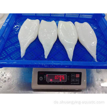 Exportieren Sie gefrorene IQF Peru gereinigt Tintenfischröhre U3